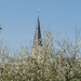 IMG_0230_bewerkt-1