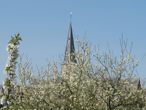 IMG_0230_bewerkt-1
