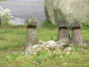 houten paddestoelen