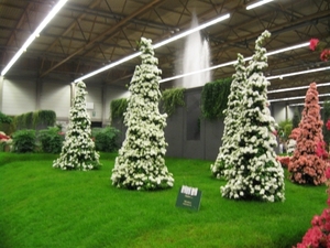 Gentse Floralien 2010 015