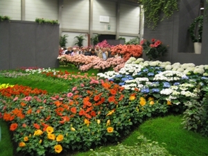 Gentse Floralien 2010 029