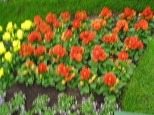 Gentse Floralien 2010 035