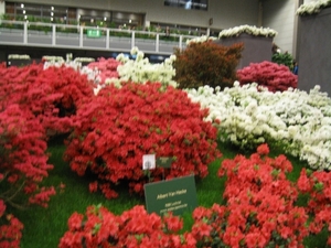 Gentse Floralien 2010 053