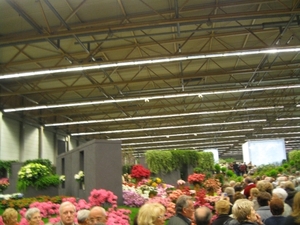Gentse Floralien 2010 056