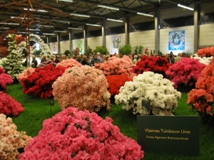 Gentse Floralien 2010 090
