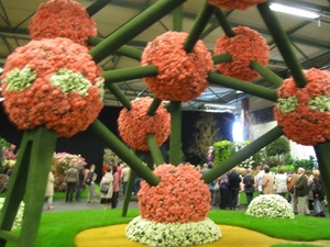 Gentse Floralien 2010 120