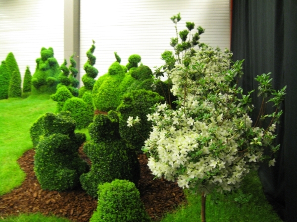 Gentse Floralien 2010 150
