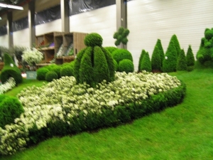 Gentse Floralien 2010 152