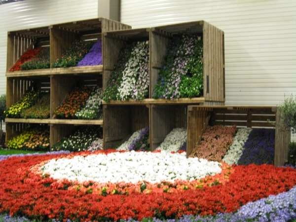 Gentse Floralien 2010 160