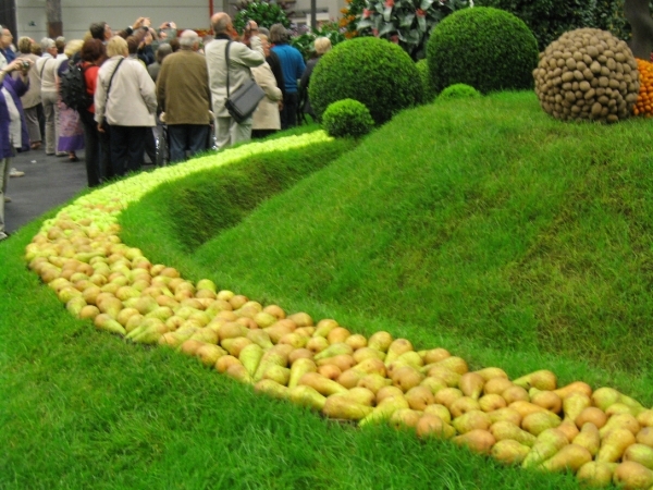 Gentse Floralien 2010 169