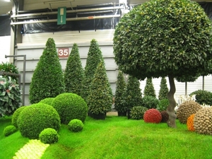 Gentse Floralien 2010 171