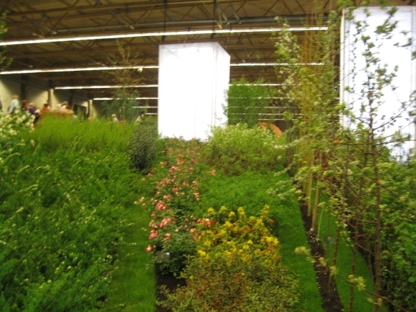 Gentse Floralien 2010 216