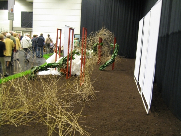Gentse Floralien 2010 226