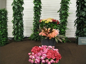 Gentse Floralien 2010 249