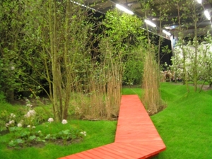 Gentse Floralien 2010 258