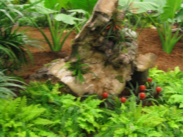 Gentse Floralien 2010 269