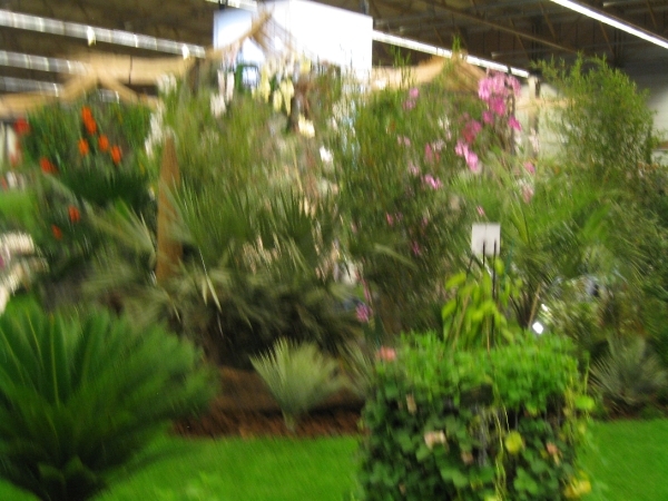 Gentse Floralien 2010 371