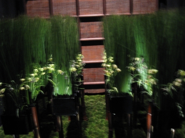 Gentse Floralien 2010 442