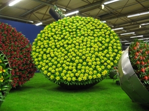 Gentse Floralien 2010 484