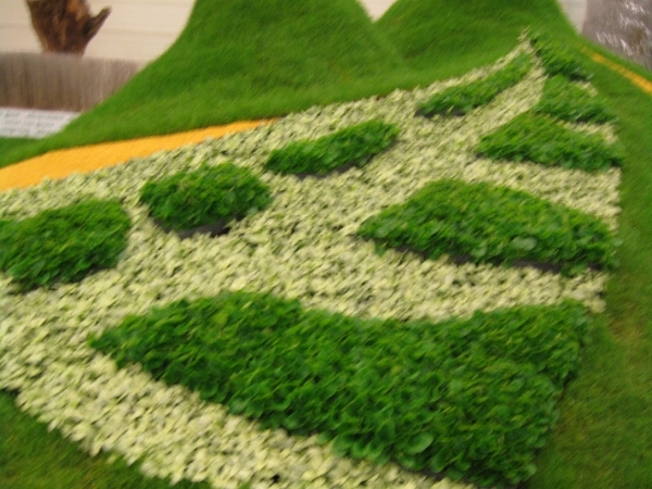 Gentse Floralien 2010 515