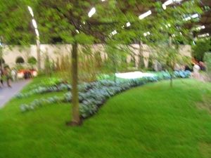 Gentse Floralien 2010 546