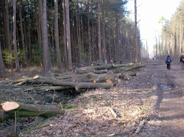 zonnebeke