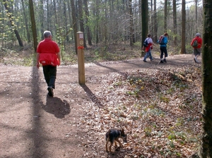 zonnebeke