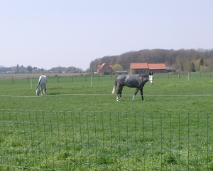 zonnebeke -onderweg..