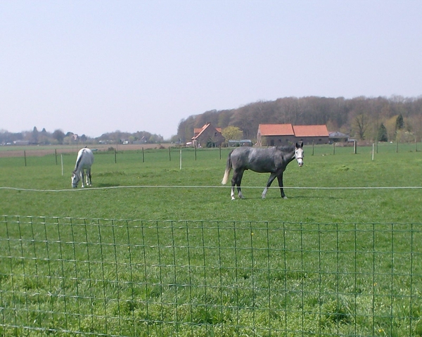 zonnebeke -onderweg..