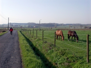 zonnebeke