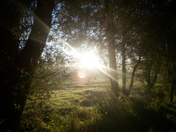zonsopgang ergens in de Voerstreek