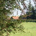 boswandeling