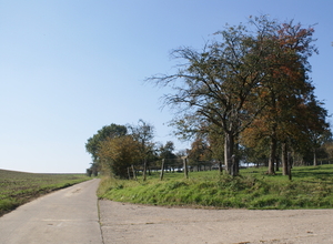 wandeling door de velden