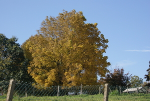 wandeling door de velden