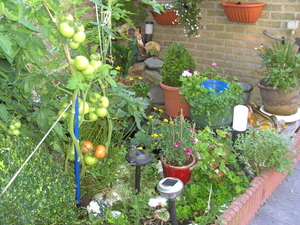 BILD0057