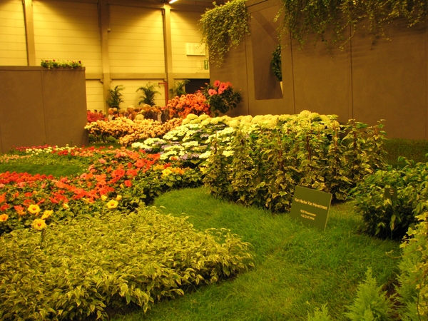 Gentse Floralin 2010 011