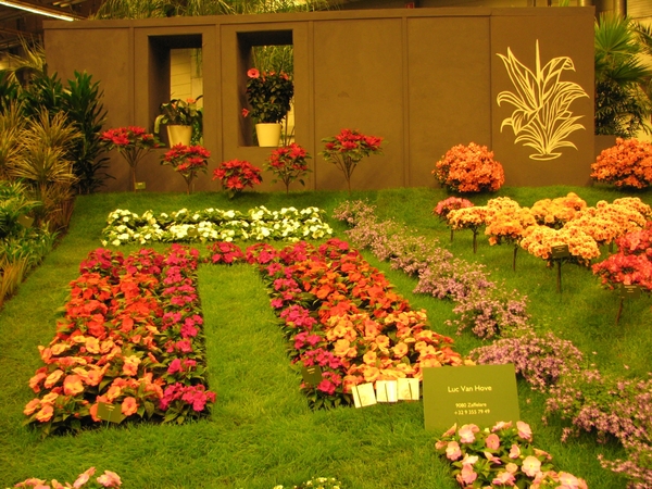 Gentse Floralin 2010 038