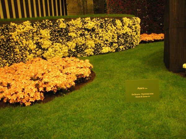 Gentse Floralin 2010 045