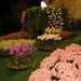 Gentse Floralin 2010 072