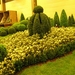 Gentse Floralin 2010 095