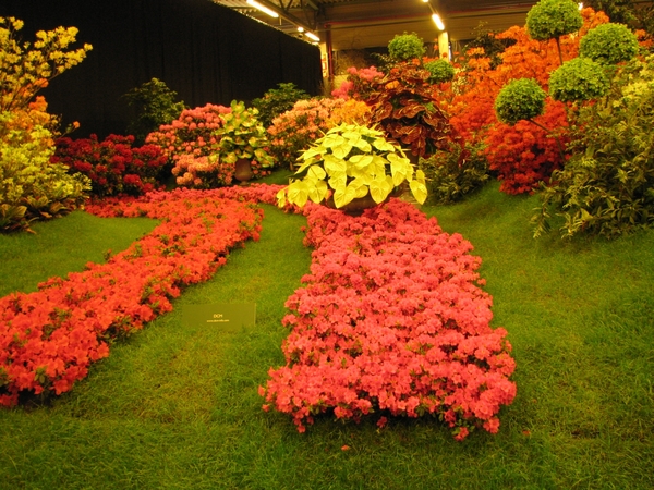 Gentse Floralin 2010 100