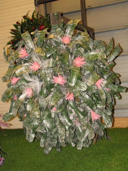 Gentse Floralin 2010 110