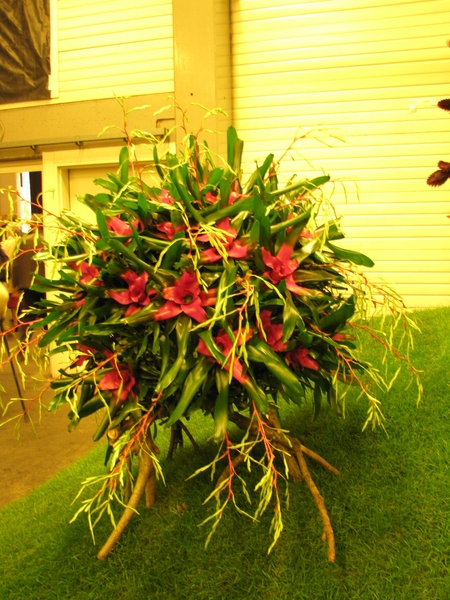 Gentse Floralin 2010 116