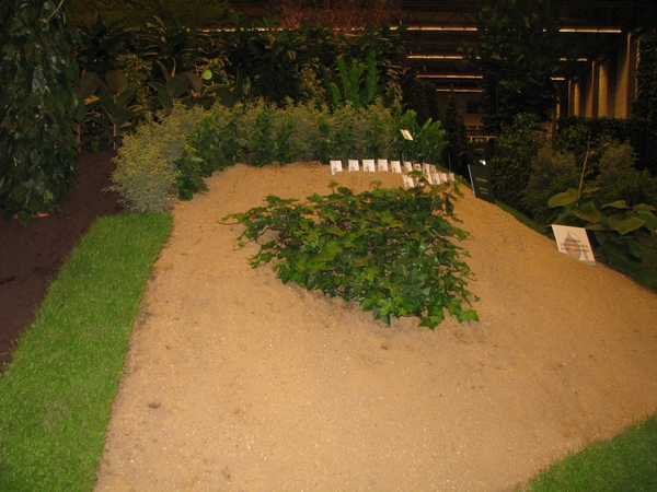 Gentse Floralin 2010 144
