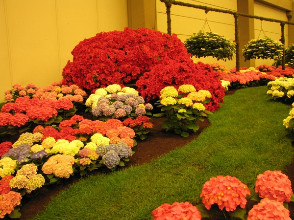 Gentse Floralin 2010 149