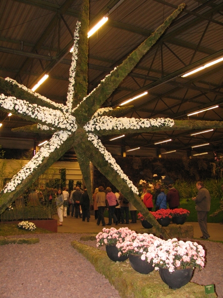 Gentse Floralin 2010 157
