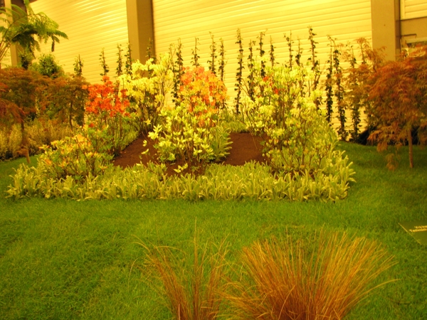 Gentse Floralin 2010 159