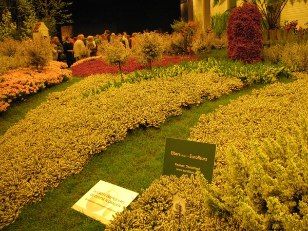 Gentse Floralin 2010 161
