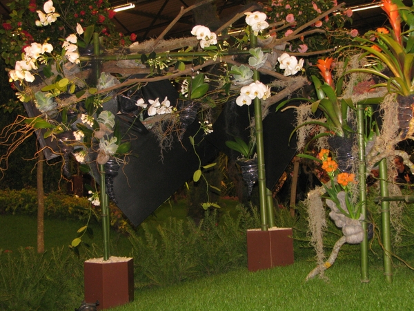 Gentse Floralin 2010 163