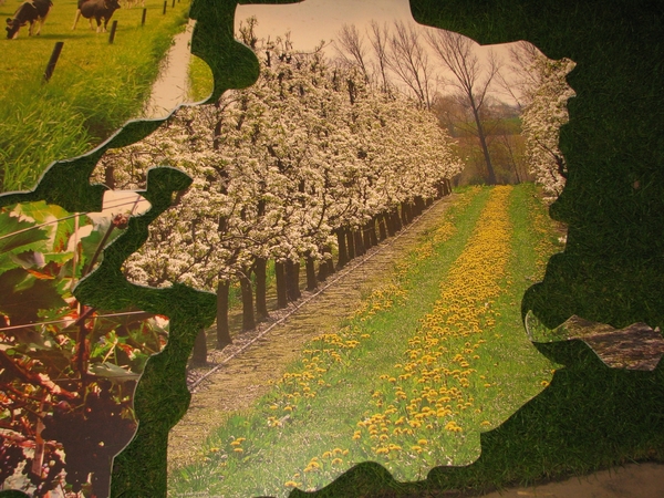 Gentse Floralin 2010 197